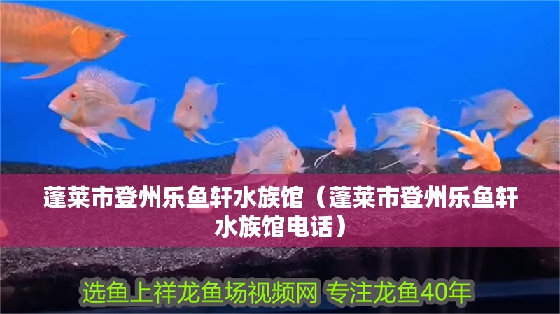 蓬萊市登州樂魚軒水族館（蓬萊市登州樂魚軒水族館電話）