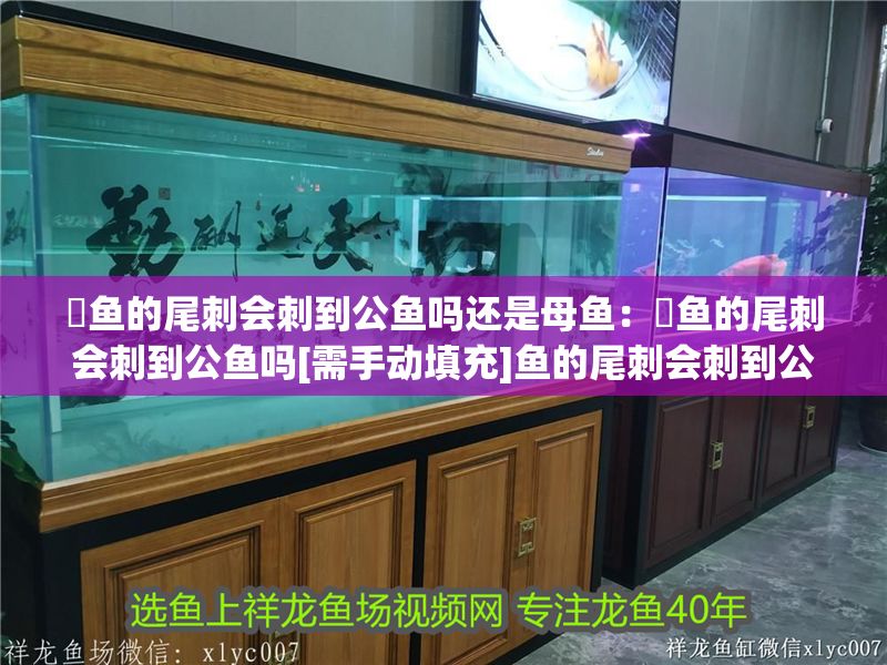 魟魚的尾刺會刺到公魚嗎還是母魚：魟魚的尾刺會刺到公魚嗎[需手動填充]魚的尾刺會刺到公魚嗎