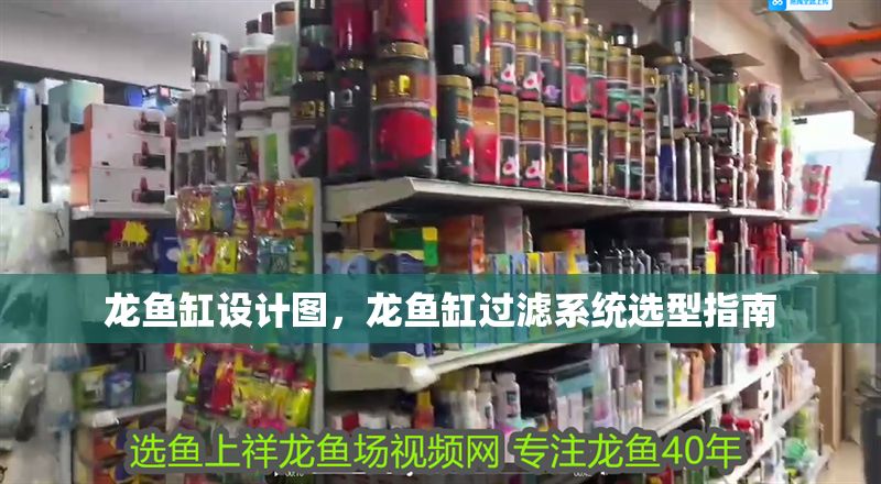龍魚缸設計圖，龍魚缸過濾系統選型指南
