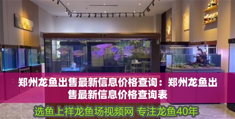 鄭州龍魚出售最新信息價格查詢：鄭州龍魚出售最新信息價格查詢表