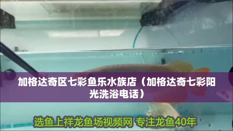 加格達奇區七彩魚樂水族店（加格達奇七彩陽光洗浴電話）