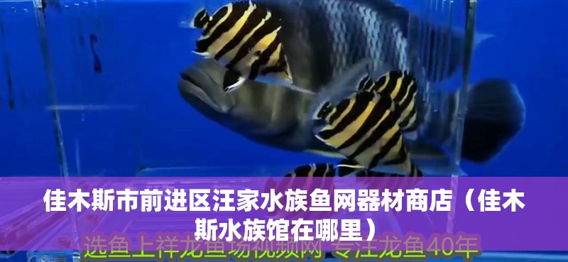 佳木斯市前進區汪家水族魚網器材商店（佳木斯水族館在哪里）