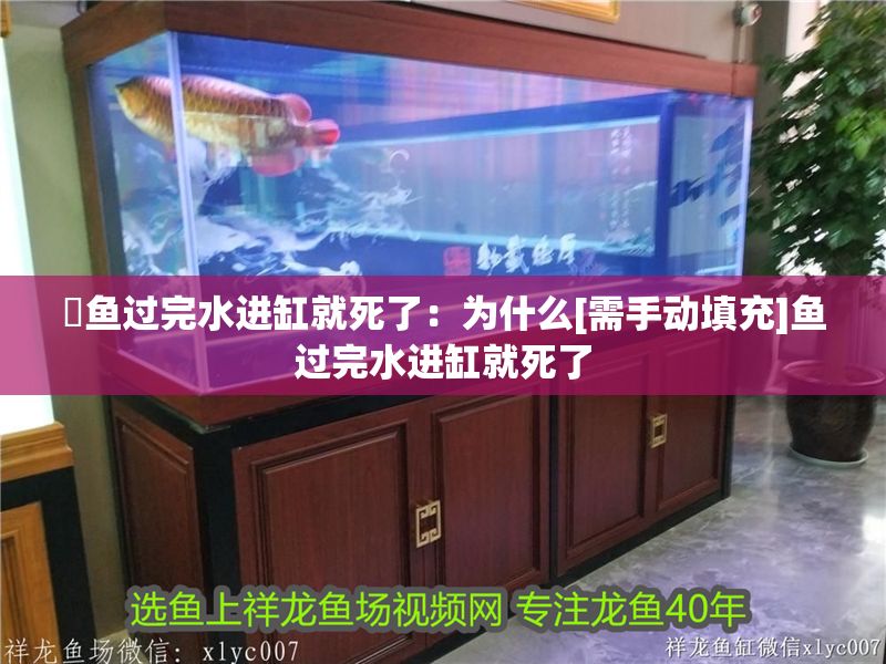 魟魚過完水進缸就死了：為什么[需手動填充]魚過完水進缸就死了