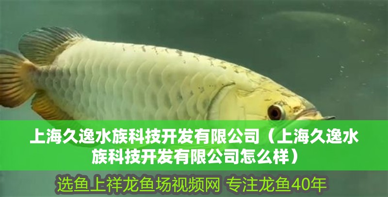 上海久逸水族科技開發有限公司（上海久逸水族科技開發有限公司怎么樣）