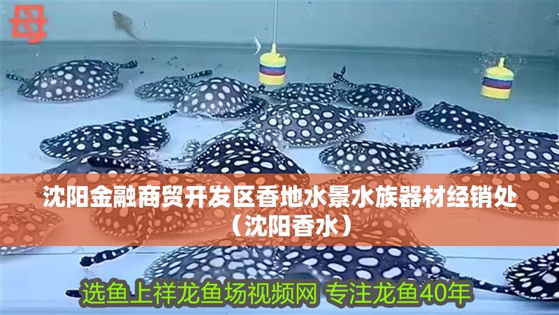 沈陽金融商貿開發區香地水景水族器材經銷處（沈陽香水）