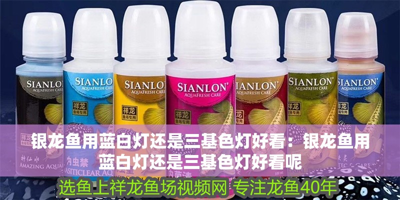 銀龍魚用藍白燈還是三基色燈好看：銀龍魚用藍白燈還是三基色燈好看呢