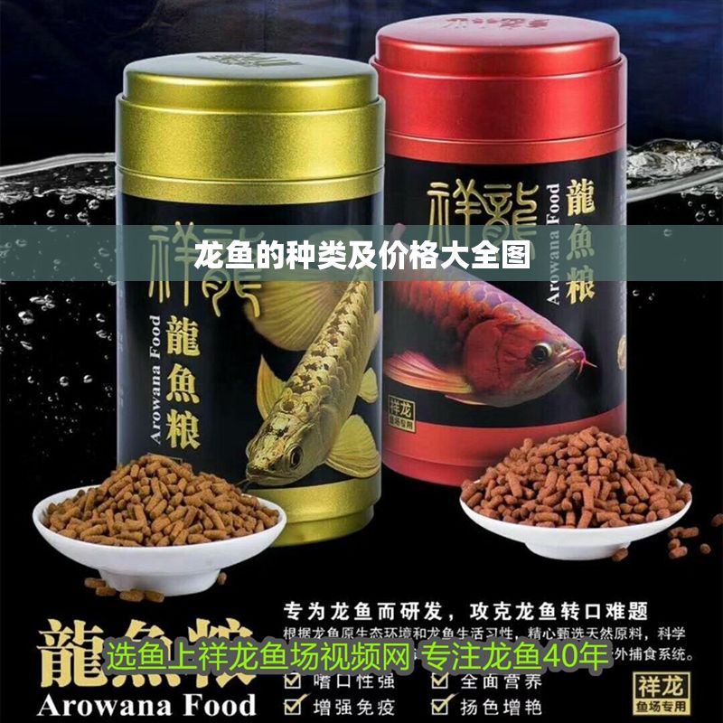 龍魚的種類及價格大全圖 龍魚百科 第2張 龍魚的種類及價格大全圖 龍魚的種類及價格大全圖 龍魚百科 第2張