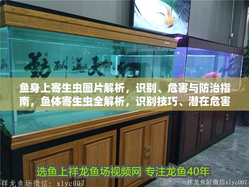魚身上寄生蟲圖片解析，識別、危害與防治指南，魚體寄生蟲全解析，識別技巧、潛在危害及科學防治方法