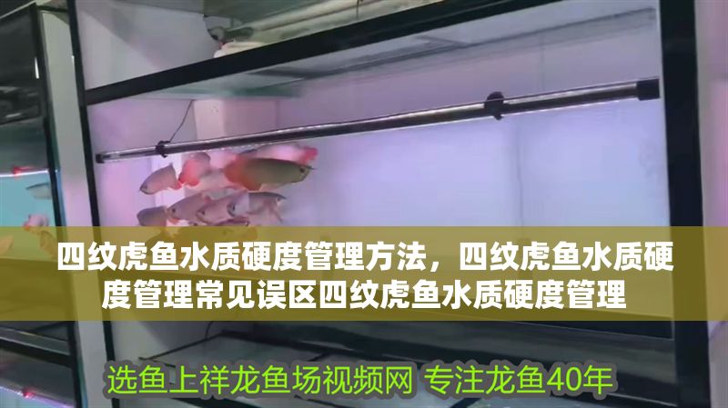四紋虎魚水質(zhì)硬度管理方法，四紋虎魚水質(zhì)硬度管理常見誤區(qū)四紋虎魚水質(zhì)硬度管理