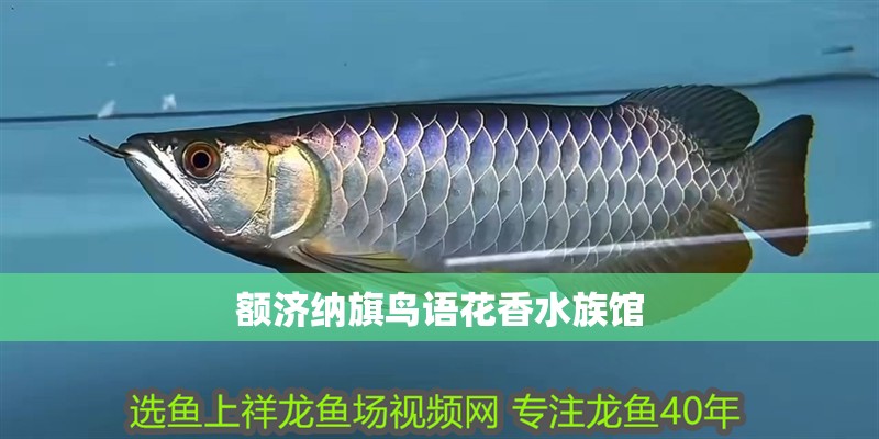 額濟(jì)納旗鳥語(yǔ)花香水族館