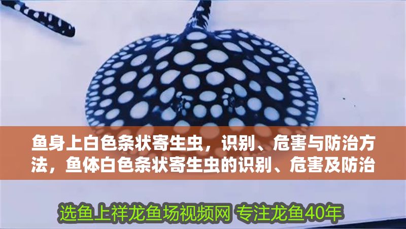 魚身上白色條狀寄生蟲，識別、危害與防治方法，魚體白色條狀寄生蟲的識別、危害及防治措施