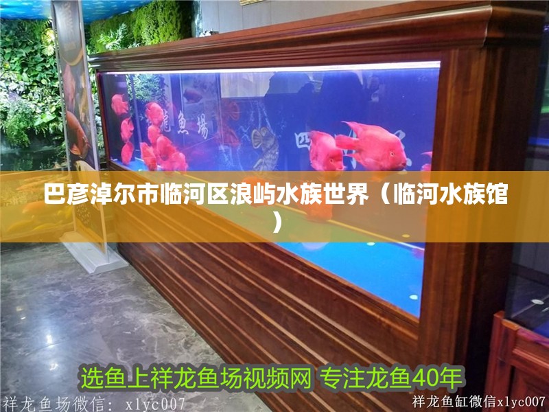 巴彥淖爾市臨河區浪嶼水族世界（臨河水族館）