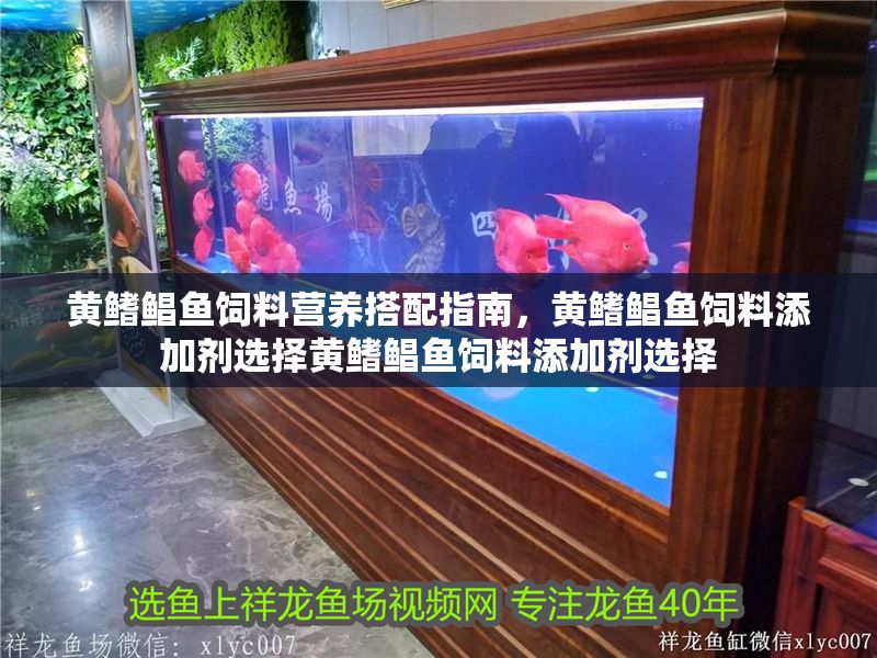 黃鰭鯧魚飼料營養搭配指南，黃鰭鯧魚飼料添加劑選擇黃鰭鯧魚飼料添加劑選擇