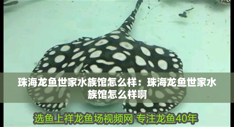 珠海龍魚世家水族館怎么樣：珠海龍魚世家水族館怎么樣啊