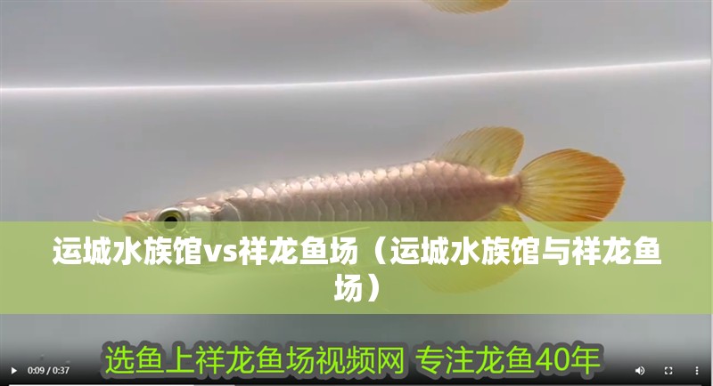 運城水族館vs祥龍魚場（運城水族館與祥龍魚場）