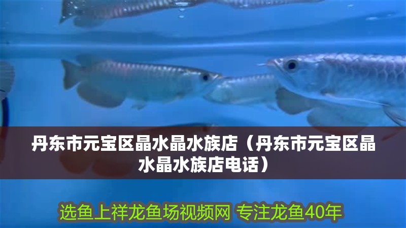 丹東市元寶區晶水晶水族店（丹東市元寶區晶水晶水族店電話）