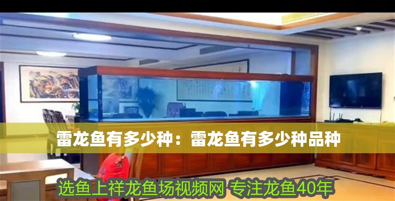 雷龍魚有多少種：雷龍魚有多少種品種