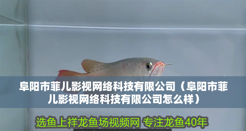 阜陽市菲兒影視網絡科技有限公司（阜陽市菲兒影視網絡科技有限公司怎么樣）