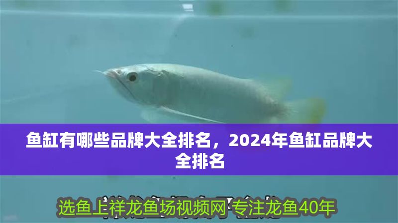 魚缸有哪些品牌大全排名，2024年魚缸品牌大全排名