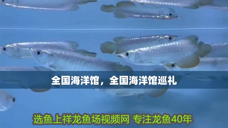 全國海洋館,全國海洋館巡禮 龍魚論壇 全國海洋館,全國海洋館巡禮 全國海洋館,全國海洋館巡禮 龍魚論壇