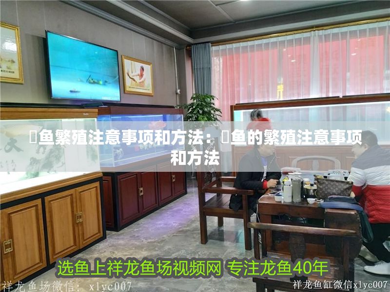 魟魚繁殖注意事項和方法：魟魚的繁殖注意事項和方法