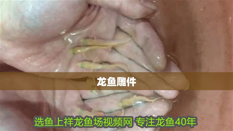 龍魚雕件