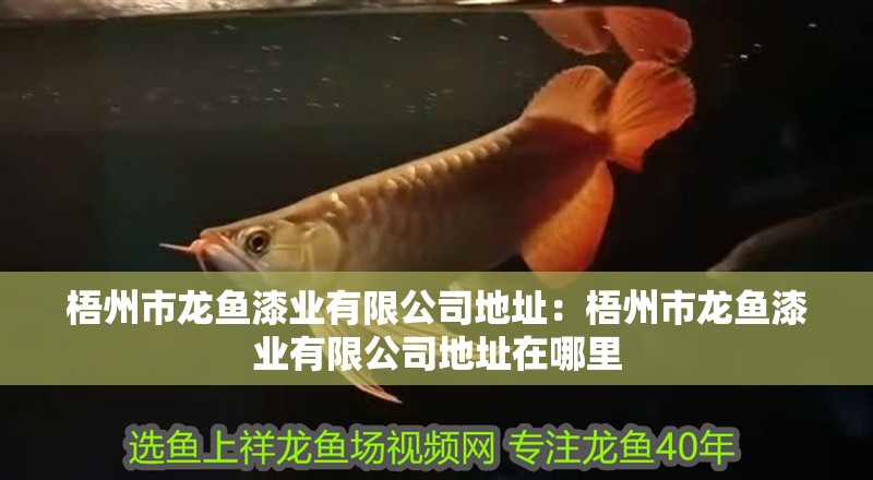 梧州市龍魚漆業有限公司地址：梧州市龍魚漆業有限公司地址在哪里
