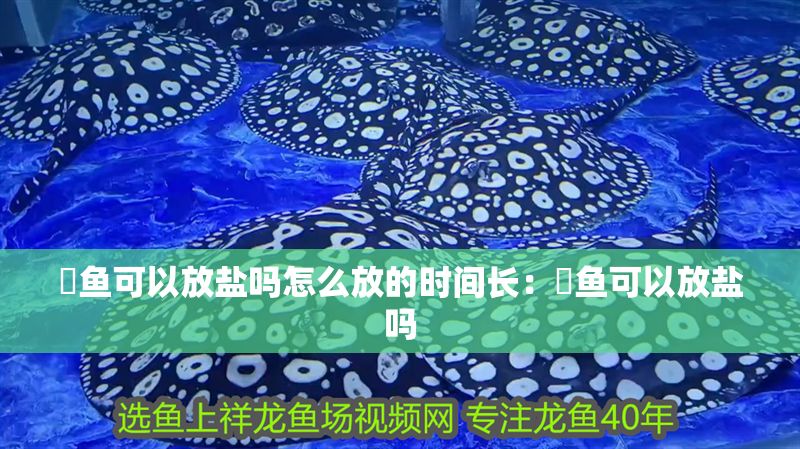 魟魚可以放鹽嗎怎么放的時間長：魟魚可以放鹽嗎