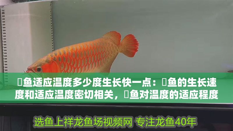 魟魚適應溫度多少度生長快一點：魟魚的生長速度和適應溫度密切相關，魟魚對溫度的適應程度有所不同
