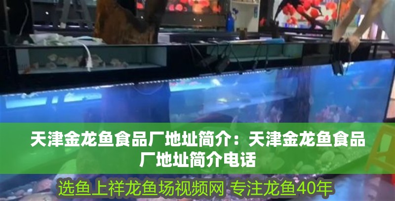 天津金龍魚食品廠地址簡介：天津金龍魚食品廠地址簡介電話