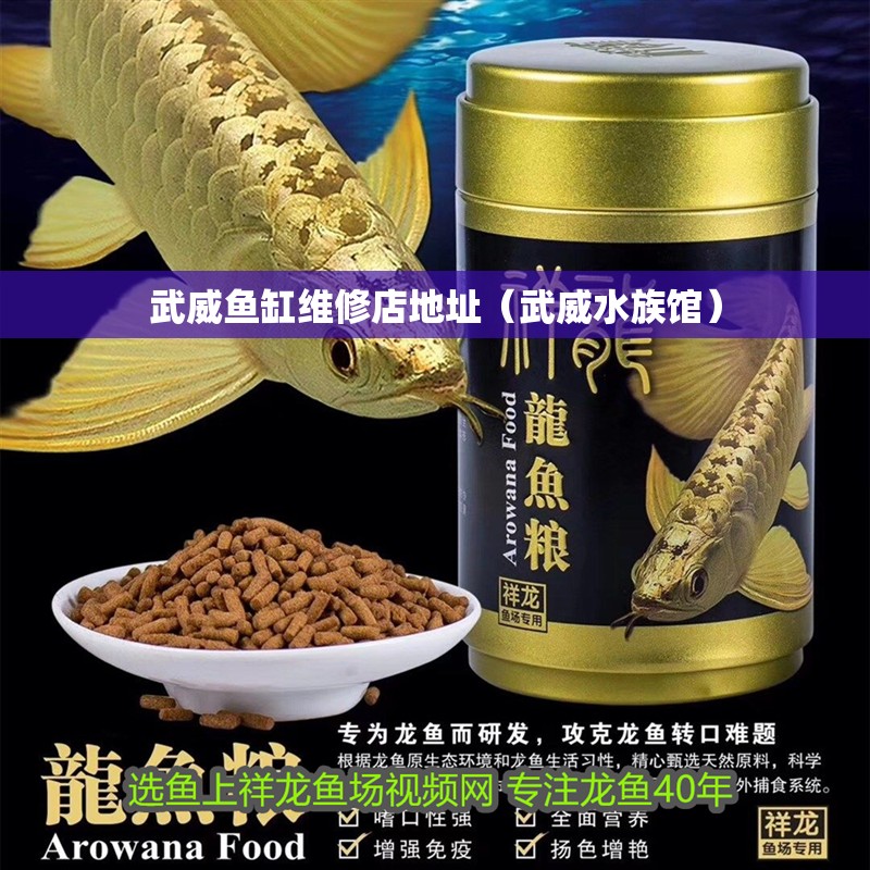 武威魚缸維修店地址（武威水族館）