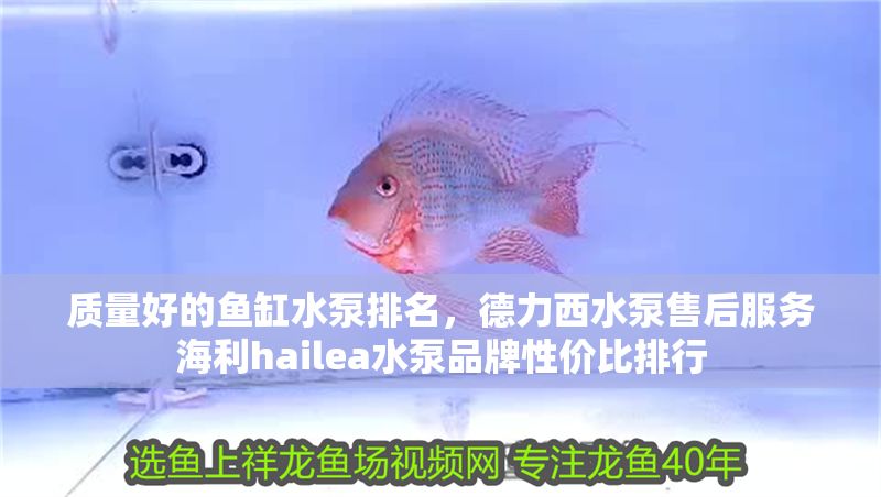 質量好的魚缸水泵排名，德力西水泵售后服務海利hailea水泵品牌性價比排行
