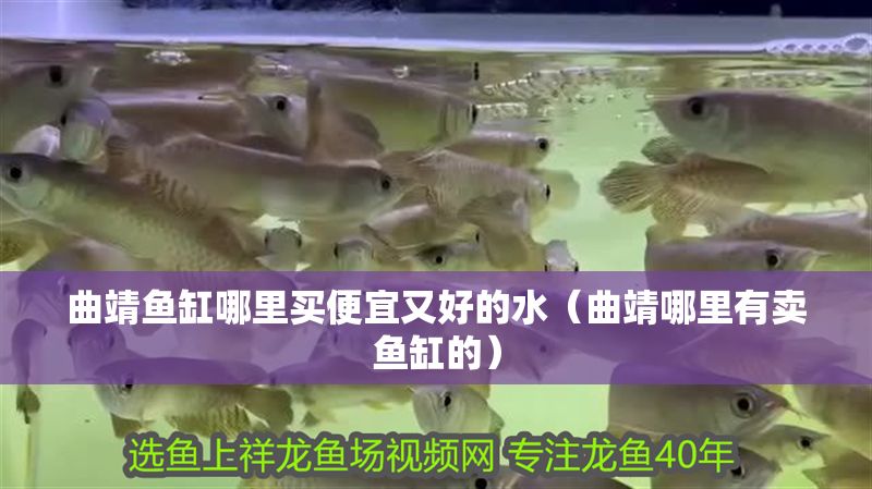 曲靖魚缸哪里買便宜又好的水（曲靖哪里有賣魚缸的）