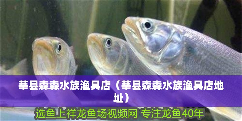 莘縣森森水族漁具店（莘縣森森水族漁具店地址）