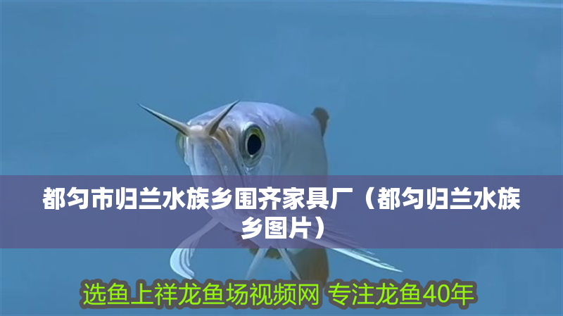 都勻市歸蘭水族鄉圍齊家具廠（都勻歸蘭水族鄉圖片）