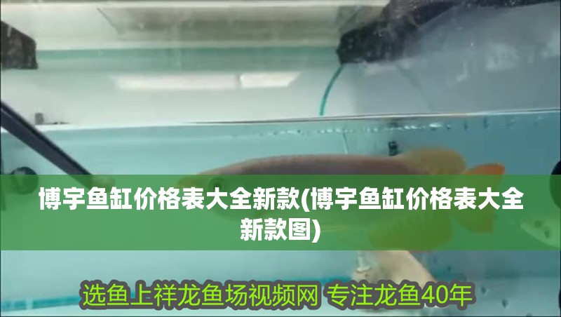 博宇魚缸價格表大全新款(博宇魚缸價格表大全新款圖)