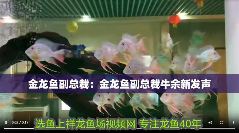 金龍魚副總裁：金龍魚副總裁牛余新發聲