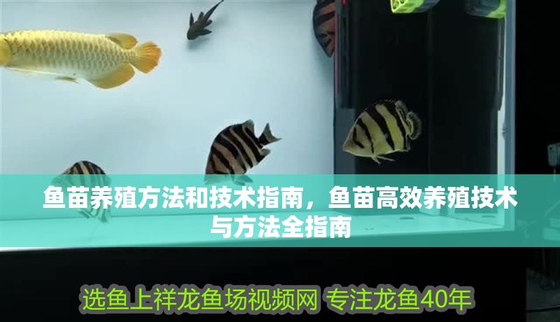 魚苗養殖方法和技術指南,魚苗高效養殖技術與方法全指南