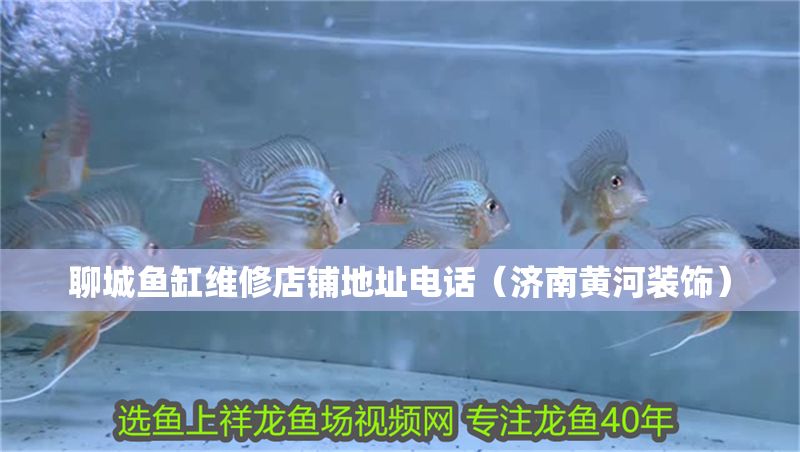聊城魚缸維修店鋪地址電話（濟南黃河裝飾）