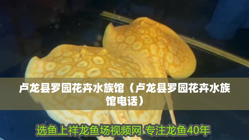 盧龍縣羅園花卉水族館（盧龍縣羅園花卉水族館電話）