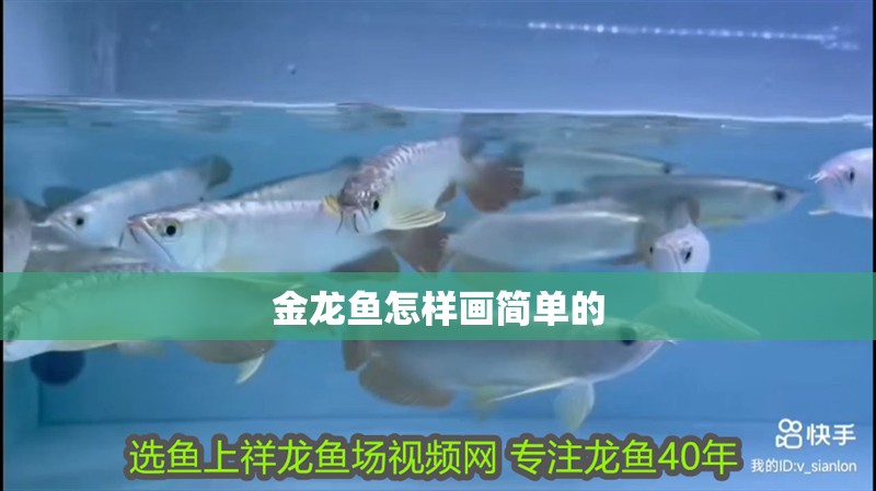 金龍魚怎樣畫簡單的