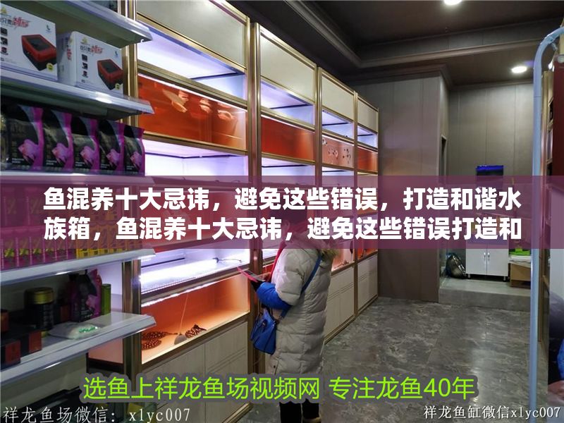 魚混養十大忌諱，避免這些錯誤，打造和諧水族箱，魚混養十大忌諱，避免這些錯誤打造和諧水族箱