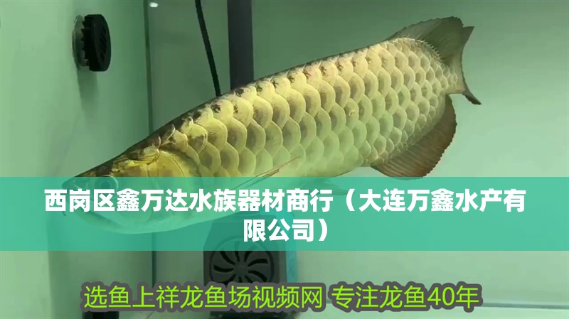 西崗區鑫萬達水族器材商行（大連萬鑫水產有限公司）