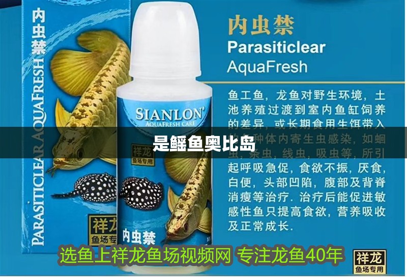 是鰩魚(yú)奧比島