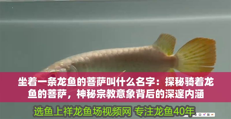 坐著一條龍魚的菩薩叫什么名字：探秘騎著龍魚的菩薩，神秘宗教意象背后的深邃內涵