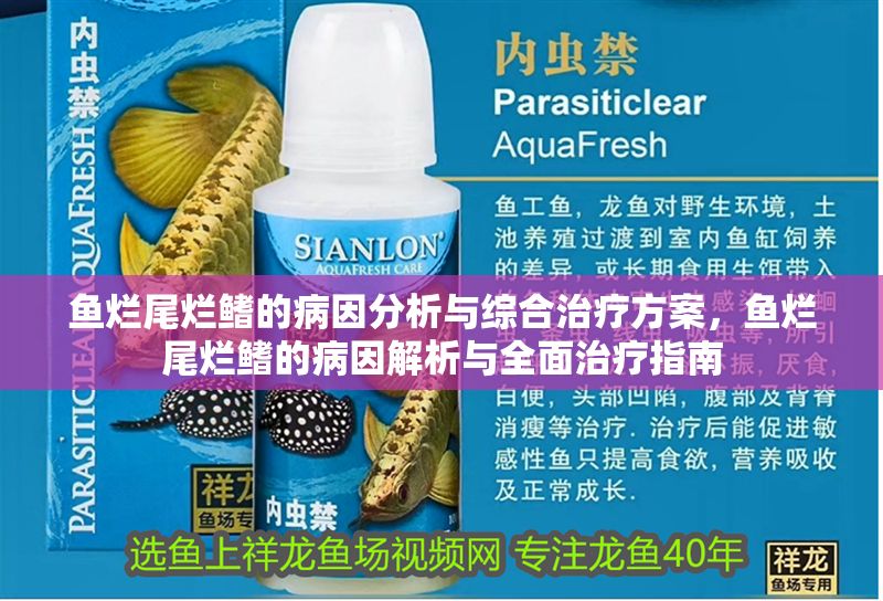 魚爛尾爛鰭的病因分析與綜合治療方案，魚爛尾爛鰭的病因解析與全面治療指南