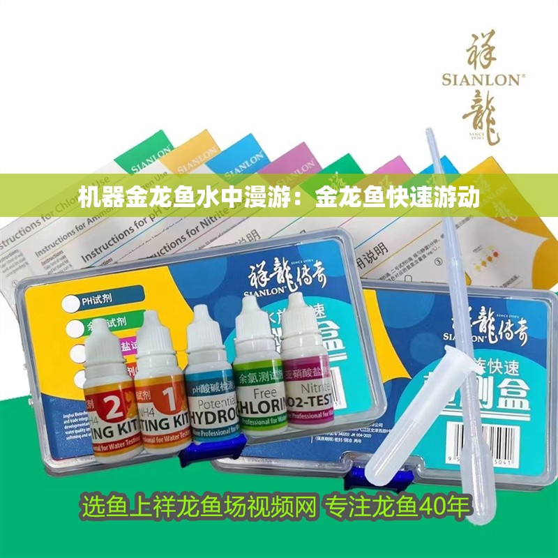 機(jī)器金龍魚水中漫游：金龍魚快速游動(dòng)