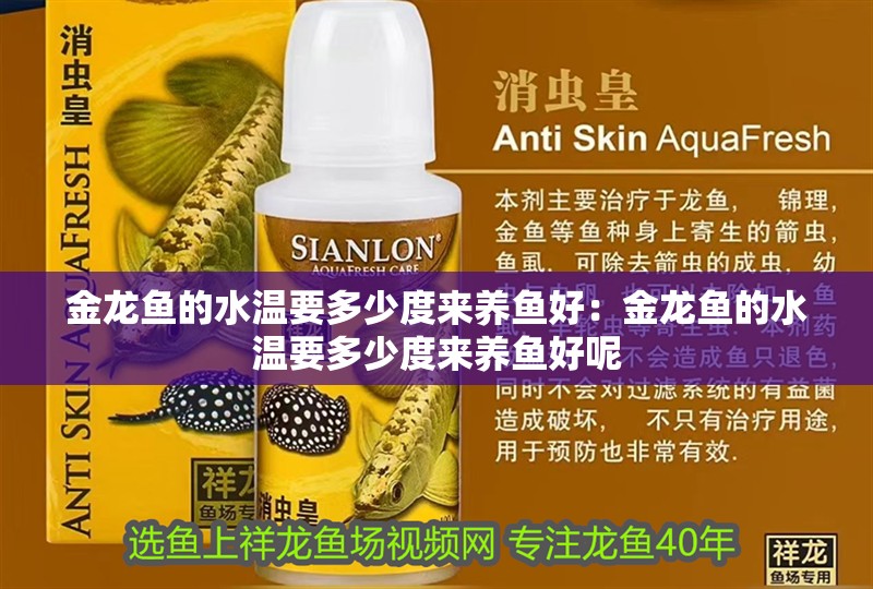 金龍魚的水溫要多少度來養魚好：金龍魚的水溫要多少度來養魚好呢