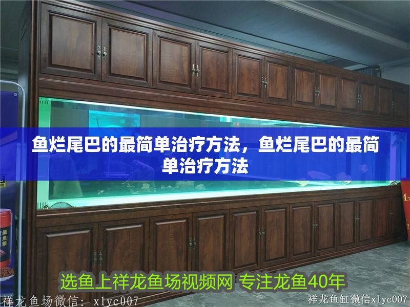 魚爛尾巴的最簡單治療方法，魚爛尾巴的最簡單治療方法