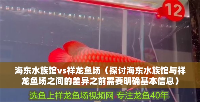 海東水族館vs祥龍魚場（探討海東水族館與祥龍魚場之間的差異之前需要明確基本信息）